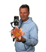 loveforlilies flower flowers content lilies Sticker