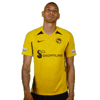 Super League Switzerland Sticker by BSC Young Boys