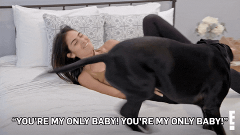 Dog Baby GIF by E!