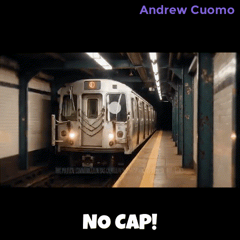 New York Vote GIF by Andrew Cuomo