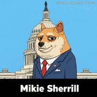 Washington Dc Yes GIF by Doge Pound