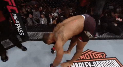ufc 209 GIF