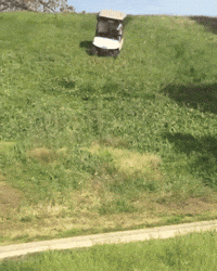 fore GIF