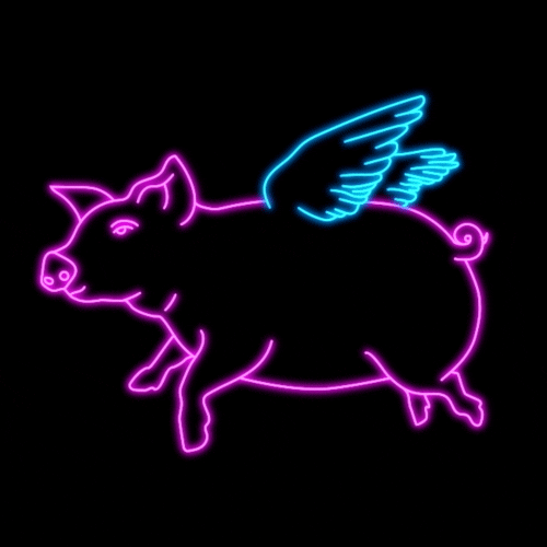 dylanreitz neon pig when pigs fly switch n play GIF