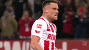 football win GIF by 1. FC Köln