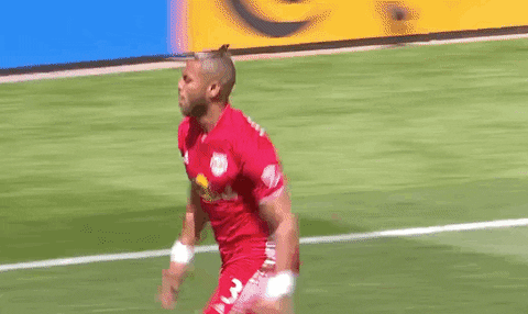celebrate red bulls GIF by Major League Soccer