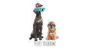 Best Friends Sticker by Filmora Video Editor Español