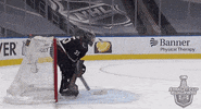 Celebrate Ice Hockey GIF by NHL