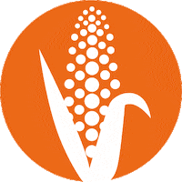 euralis_saaten agriculture corn seeds mais Sticker