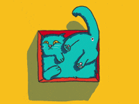 Happy Cat GIF by gasta