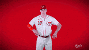Tyler Stephenson GIF by Cincinnati Reds