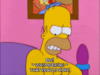 homer simpson GIF