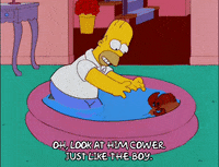 homer simpson GIF