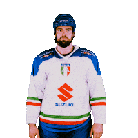 federazioneghiaccio hockey ice wintersport sportinvernali Sticker