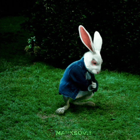 Alice In Wonderland Time GIF