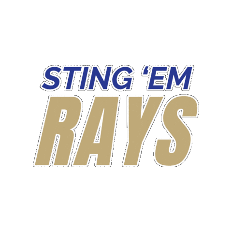 Lets Go Rays Sticker by Divine Savior Academy