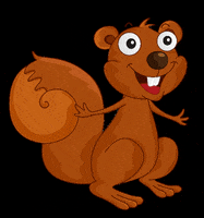 MASKmatters mask squirrel distract maskmatters GIF