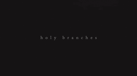 music video holy branches GIF by Radical Face