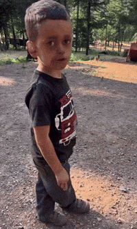 Come Over Its A Surprise GIF