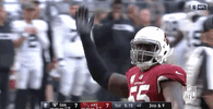 2018 Nfl Football GIF by NFL