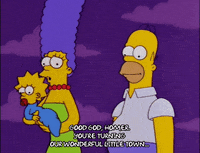 homer simpson episode 22 GIF