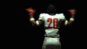 cnfb18 cnfootball18 GIF by Carson-Newman Athletics