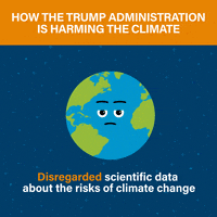 worldresources  GIF