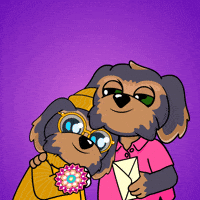 Happy Raksha Bandhan GIF by BoDoggos