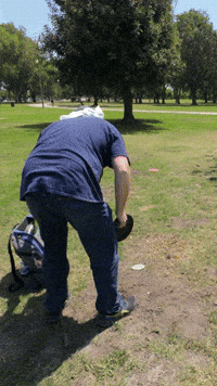 discingwithdale  GIF