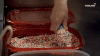 Ice Cream Sprinkles GIF by THE ICE CREAM SHOW