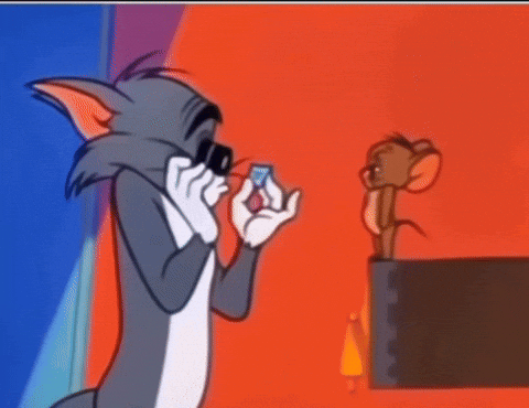 Tom Jerry GIF