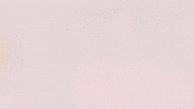 Football Sport GIF by FC Red Bull Salzburg