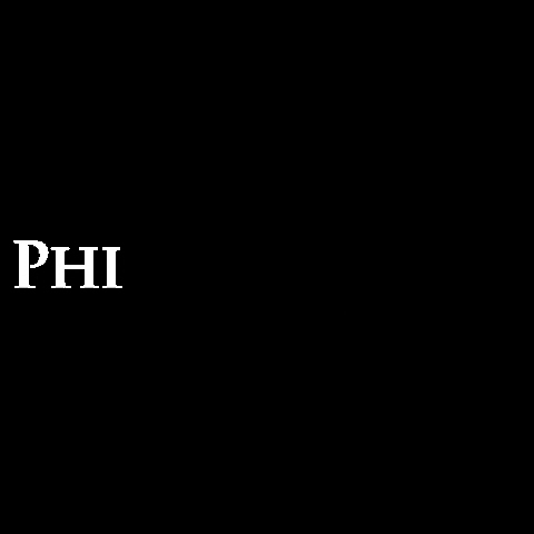 PhiShop brows microblading phibrows phiacademy GIF