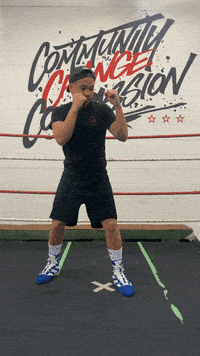 quinitboxing  GIF