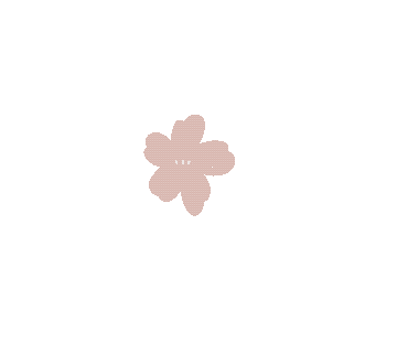 Cherry Blossom Flower Sticker