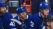 happy ice hockey GIF by NHL