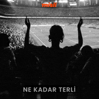 Galatasaray Tammyabraham GIF by Misli