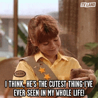 Golden Girls Rose GIF by TV Land