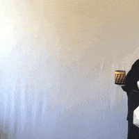 public radio GIF by WNYC