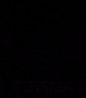 Bufalin GIF by Deporte FCA