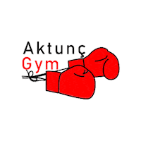 Boks Kickboks Sticker by aktunç gym