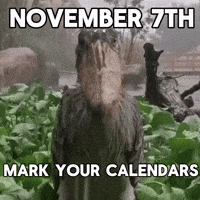 November GIF