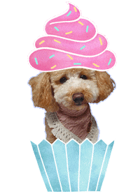 Happy Birthday Sticker