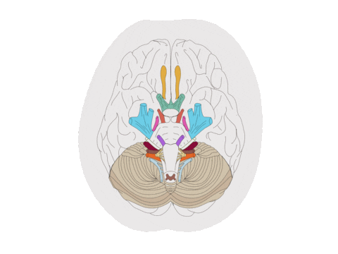 Gelyssa Sticker