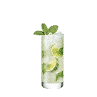 Summer Sun Sticker by Bacardi