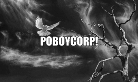 Poboycorp giphygifmaker giphyattribution poboycorp GIF