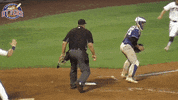 EvansvilleOtters baseball nice swag slide GIF