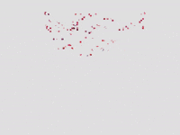 skyfitacademia fitness academia treino treinar GIF