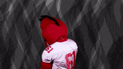 how you doin dragons GIF by Minnesota State University Moorhead
