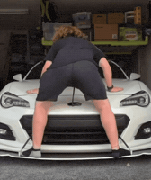 Tann3R GIF